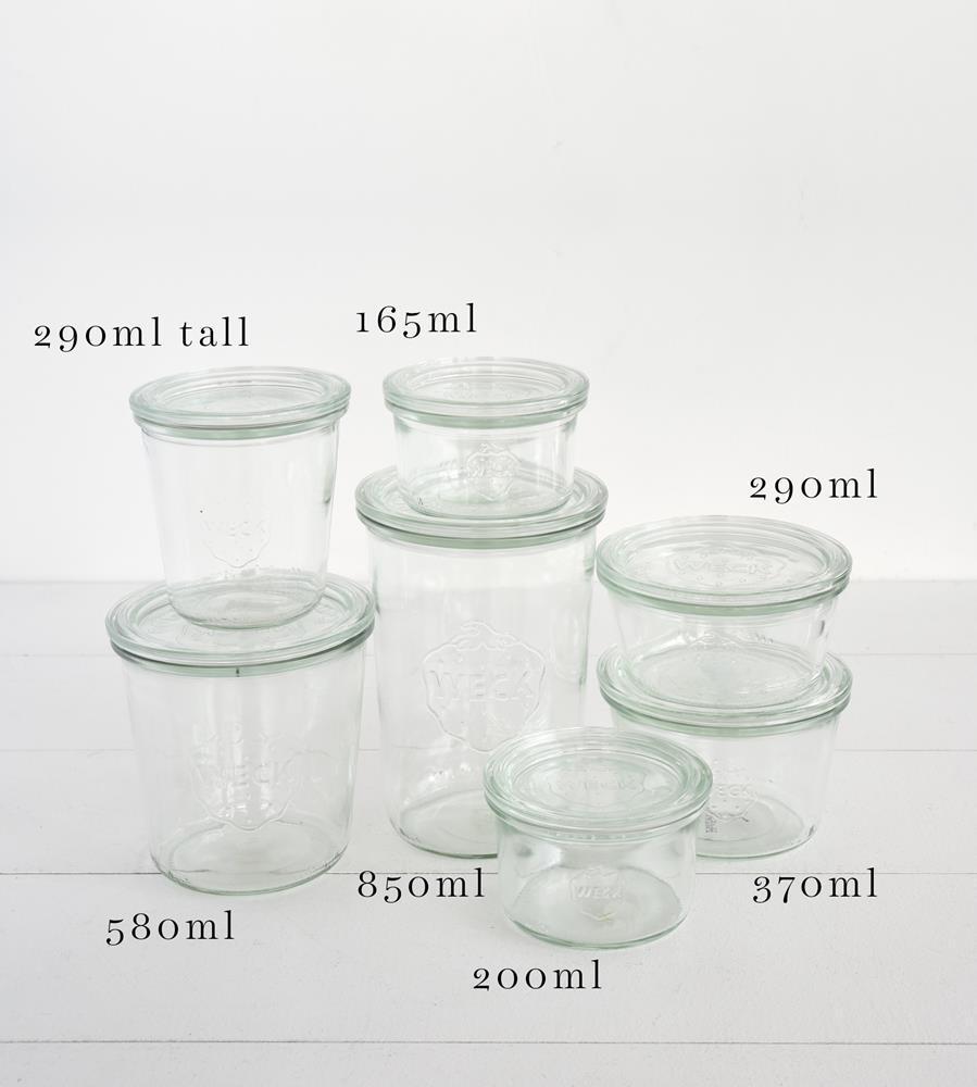 Mold Jar with Glass Lid